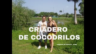 Criadero de cocodrilos Ciénaga de Zapata CUBA [upl. by Cock]