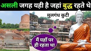 यहीं रहते थे बुद्ध  Mulagandha Kuti Vihar Sarnath  Untold History of Buddha  Saman Culture [upl. by Schwejda]