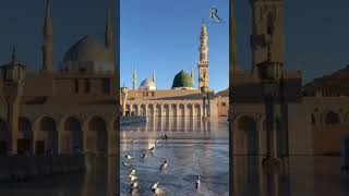 Seyyed abdul wasi qadri razvi naat shorts new viralvideo [upl. by Shultz]