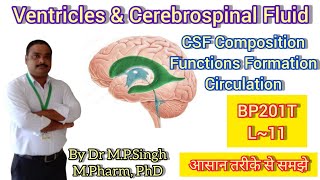 Ventricles  Cerebrospinal Fluid CSF  Human Anatomy amp PhysiologyII  BP201T  L11 [upl. by Island]