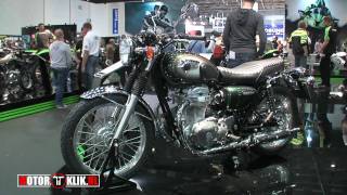 Kawasaki W800 2011 [upl. by Yule]