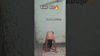 Day 60 of Learning Handstand  2 Months of ProgressHandstandJourney FitnessMilestone Calisthenics [upl. by Hidie]