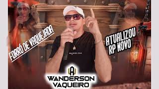 WANDERSON VAQUEIRO CD NOVO [upl. by Adnirem]