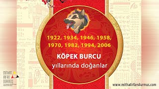 Çin Astrolojisi Burçlar  11  Köpek Burcu [upl. by Kcirrag135]