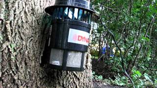 DynaTrap Wasp Catch Test Video01 09262006 MVI0731AVI [upl. by Enyrehtak]