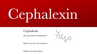 Cephalexin Keflex keflex antibiotic  cephalexin capsules and cephalexin uses [upl. by Juliana]