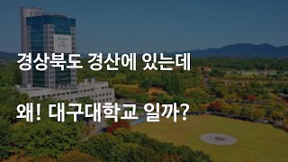 영남대 다음으로 거대한 대학 대구대학교는 어떨까 [upl. by Sharai]