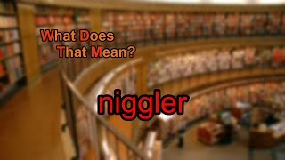 What does niggler mean [upl. by Yren]