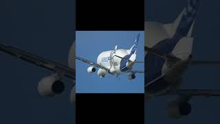 Me bomboclat edit meme airbus ksi [upl. by Jory]