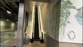 【フジテック】3X エスカレーター 宮下パークサウス 3X escalator Miyashita Park South shopping store Shibuya Tokyo Japan [upl. by Garris]