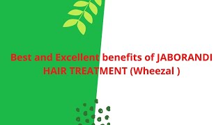 Best and Excellent benefits of JABORANDI HAIR TREATMENT Wheezal [upl. by Anaiviv]