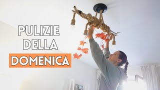 PULIZIE DELLA DOMENICA 🧽​ Decoriamo casa per lautunno [upl. by Bogoch]