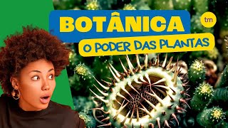 BOTÂNICA em 4 Minutos [upl. by Sinnaiy]