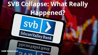 Silicon Valley Bank Collapses What Really Happened [upl. by Itoc]