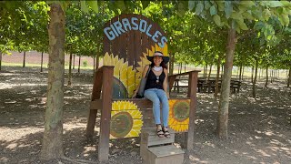 Viaje a Esquipulas parte 3  Finca Los Girasoles 🌻 [upl. by Ipoillak]