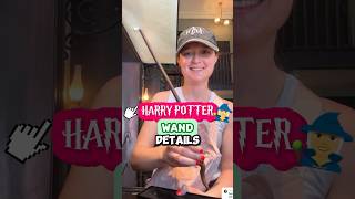 What Comes With a 60 Harry Potter Wand 🤔🪄 Universal Orlando Wizarding World Merch [upl. by Dupaix]