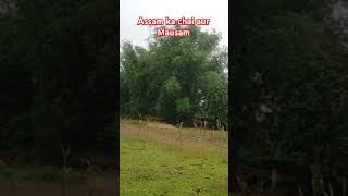 Assam ka chai aur Assam ka Mausam ka koi bharosa nahi hota travel assameese comedysong nature [upl. by Aubrette]