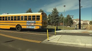 School bus driver fired after dropping off dozens of Colorado kids at wrong stop [upl. by Artinek892]