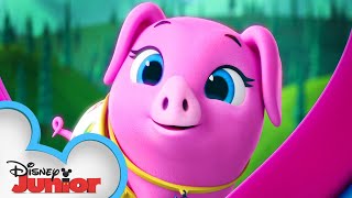 Pearl the Piglet 🐷 Calling All TOTS  TOTS  Disney Junior [upl. by Dhaf476]