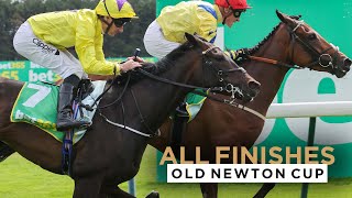 ALL RACE FINISHES FROM OLD NEWTON CUP DAY AT HAYDOCK PARK RACECOURSE [upl. by Alyled]