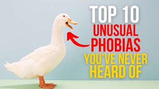 TOP 10 UNUSUAL PHOBIAS YOUVE NEVER HEARD OF [upl. by Burton865]