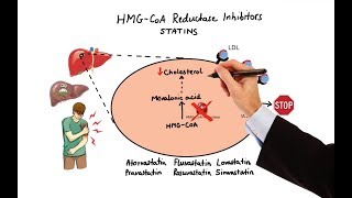 Pharmacology  DRUGS FOR HYPERLIPIDEMIA MADE EASY [upl. by Lindi]