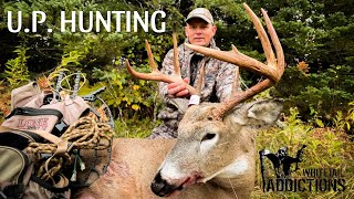 MICHIGAN BRUISER BUCKS with Dieter Kochan [upl. by Liederman]