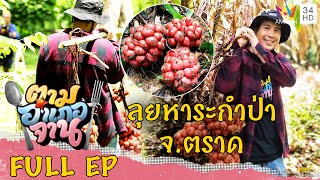 ENGSUB ลุยหาระกำป่า อบ่อไร่ จตราด  ตามอำเภอจาน  15 กค66 Full EP [upl. by Marne]