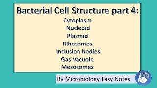 Bacterial cell structure Part 4 cytoplasm and other cytoplasm components [upl. by Julina475]