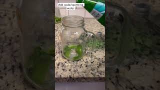 Quick and easy mojito recipe  Virgin mojito foodeasyrecipeindianshortsshortvideomojito [upl. by Aisenet475]