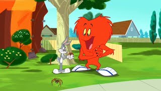 The Looney Tunes Show  Gossamer Dialogue Itsy Bitsy Gopher [upl. by Matta41]