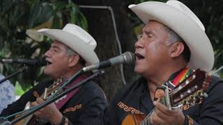 El Condesa del Mar de Bertin y Lalo  Soledad Video [upl. by Htiekal]