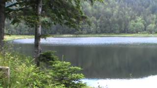 Randonnée dans les Vosges Lac de la Lauch [upl. by Rovelli]