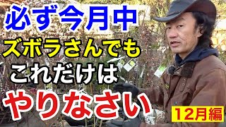 【寒くてもやる事】12月になったら必ずやって欲しい植物管理教えます 【カーメン君】【園芸】【ガーデニング】【初心者】 [upl. by Roswald]