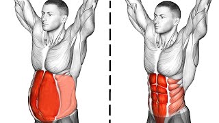 Abs Workout Abdominal Exercises [upl. by Milson]