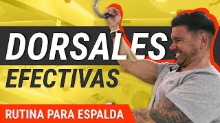 5 Mejores Ejercicios De Dorsales  Rutina De Entrenamiento [upl. by Ebonee]