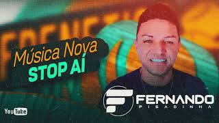 FERNANDO PISADINHA  MÚSICAS NOVAS 2K24 [upl. by Lipman733]