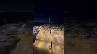 Heading out for some Sculpin oceanfishing ocean nightfishing boating oceanlife socal [upl. by Sale]