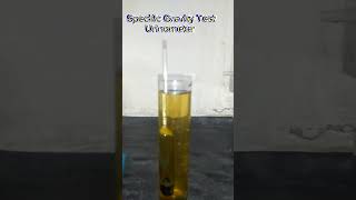 UrinometerSpecific GravityUrine TestSpGUrine specific gravitypracticle Urinometerdemonstration [upl. by Loughlin248]