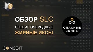 🔸SLC Life на Coinsbit  Как я удвоил свой капитал в течении часа на SLC от биржи Coinsbit🔸 [upl. by Conlon]