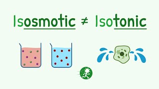 Suffix osmotic vs tonic ie Difference Between Isosmotic vs Isotonic [upl. by Claudy87]