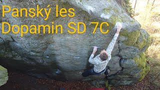 Dopamin 7C Panský les u Humpolce  Bouldering [upl. by Jethro159]