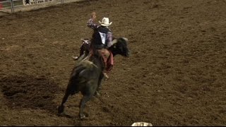 Hamel Rodeo starts Thursday [upl. by Regor434]