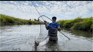 Fishing for KingChinook salmon September 2022 [upl. by Annelise]