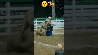 horse equestrian horseriding rodeo horselover horseenthusiast marwadistallion horsefan [upl. by Kenyon]