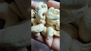 Zero cholesterol ఉన్న దాని తింటే ఏంటి లాభంcashewszerocholesterol weightloss manthena healthy [upl. by Nihcas]