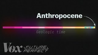 The debate over the Anthropocene explained [upl. by Nosnevets912]