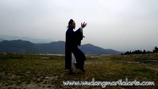 Wudang Tai Chi 108 by Master Chen Shiyu [upl. by Uella]