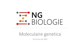 Moleculaire genetica  de bouw van DNA  HAVOVWO [upl. by Yuhas815]