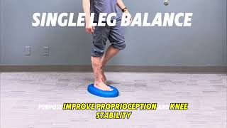 Single Leg Balance [upl. by Regazzi]